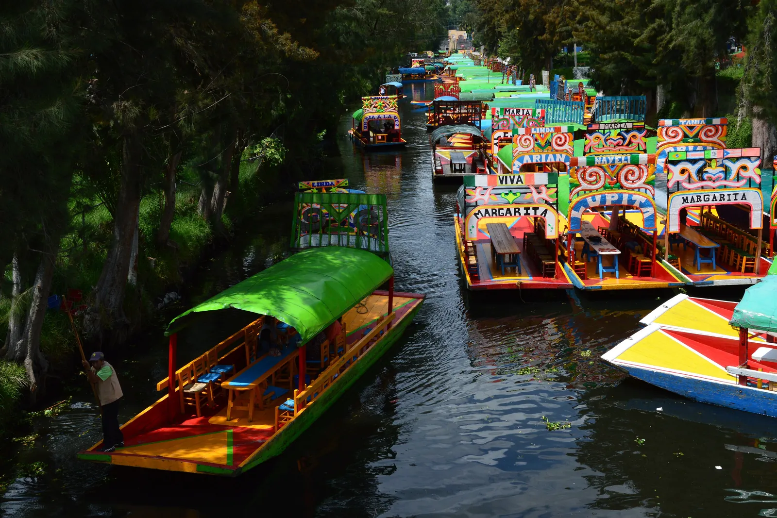 Zeleně zastřešená trajinera na xochimilcském kanálu, s řadami pomalovaných lodí zakotvených dále podél břehu a stromy na obou stranách