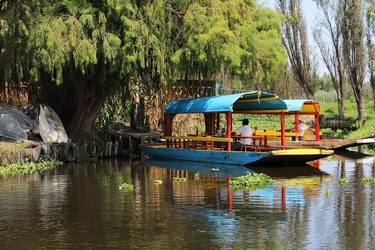 Trajinera s modrým baldachýnem zakotvená u dřevěného přístaviště na Ostrově panenek v Xochimilcu, v pozadí vrby